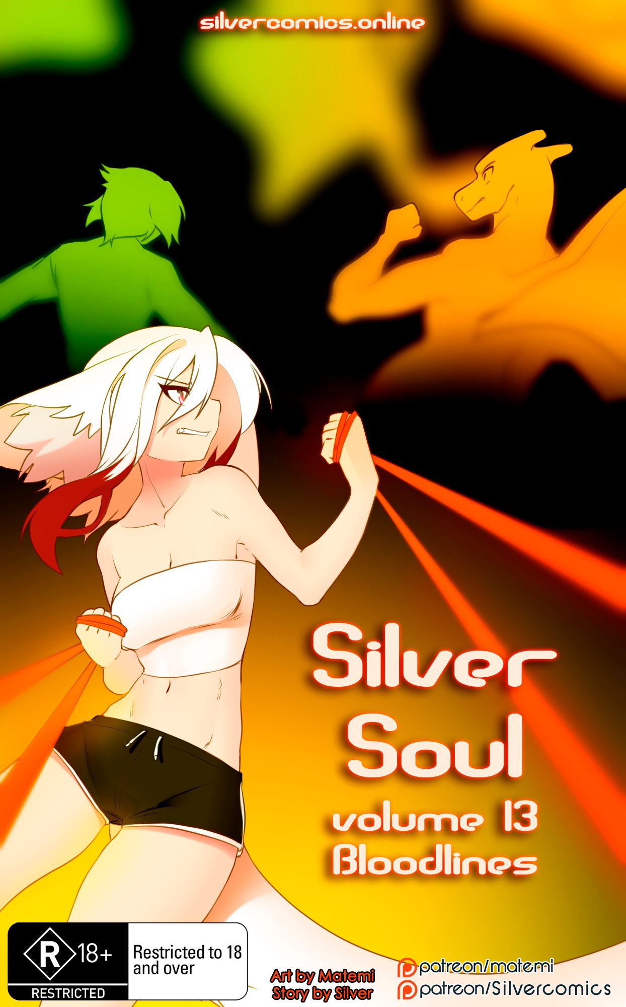 [Matemi] Silver Soul Vol. 13_000.jpg